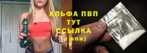 сатива Горно-Алтайск