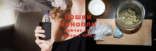сатива Горно-Алтайск