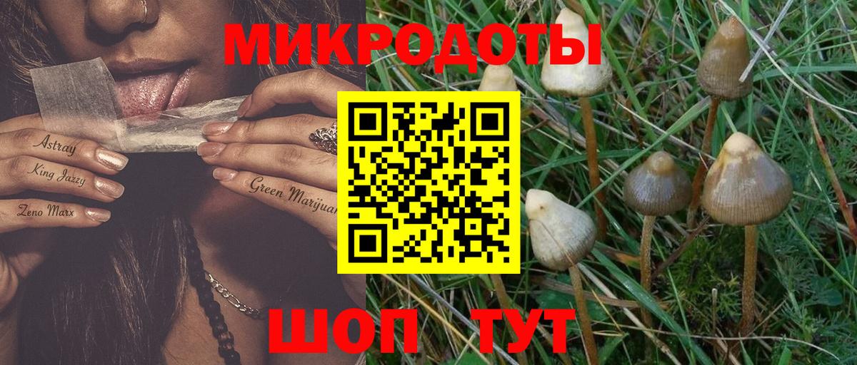 Одинцово  Псилоцибиновые грибы Psilocybe  Вход с VPN 